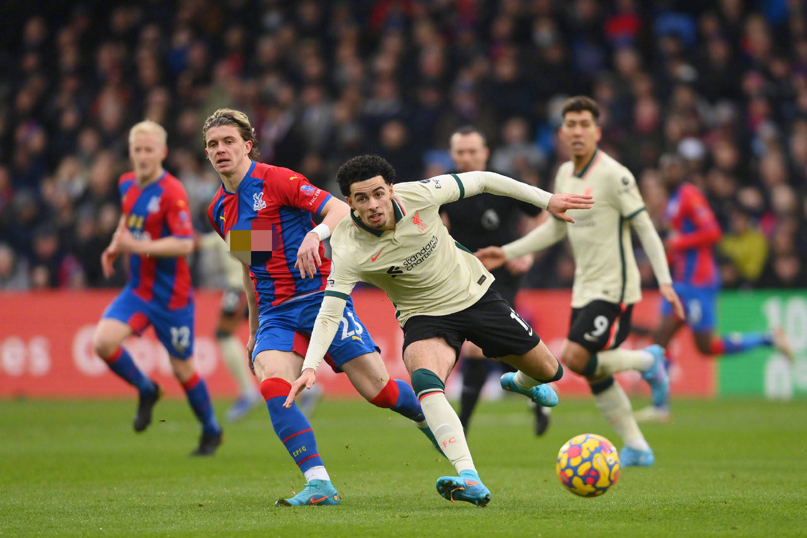 尽管他镇定 尽管他镇定